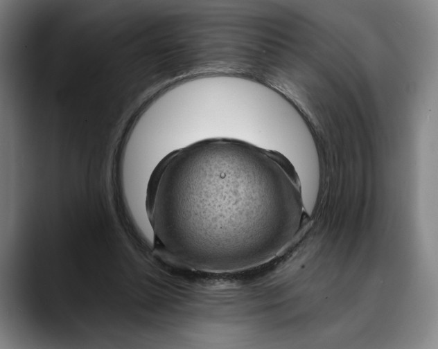 X0000089690348200707121340