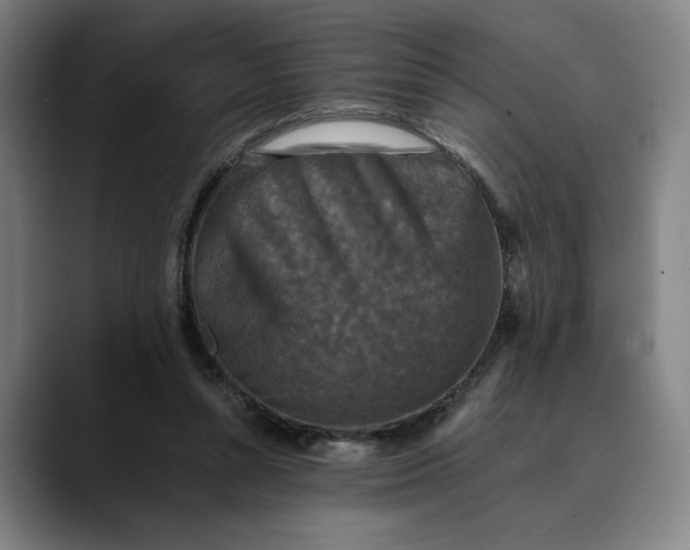 X0000089690352200707121340