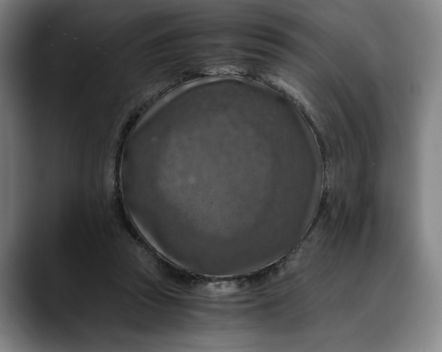 X0000089690353200707121340