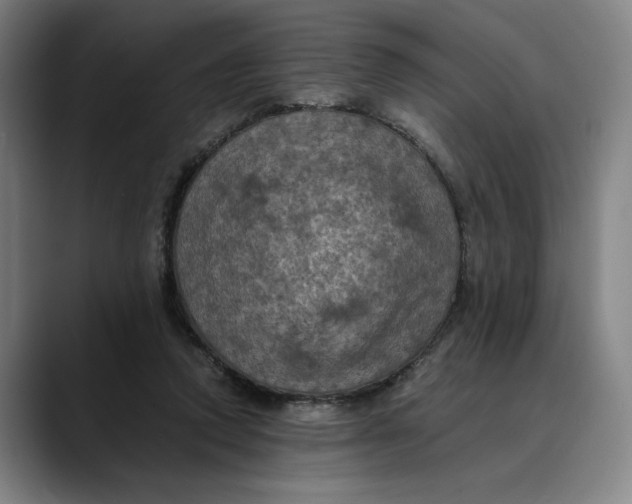 X0000089690354200707121340