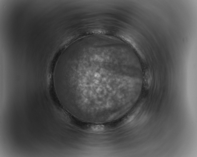 X0000089690355200707121340