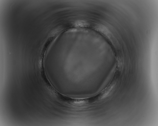 X0000089690357200707121340