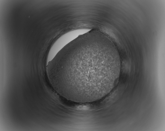 X0000089690358200707121340