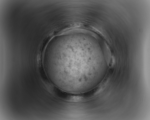 X0000089690360200707121340