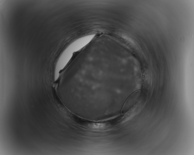 X0000089690361200707121340