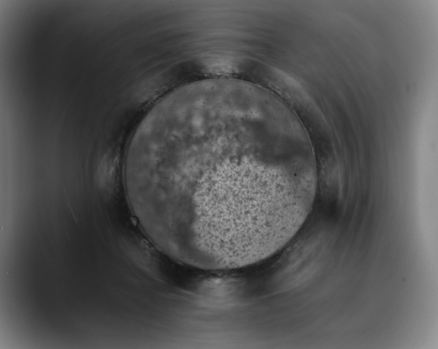 X0000089690364200707121340