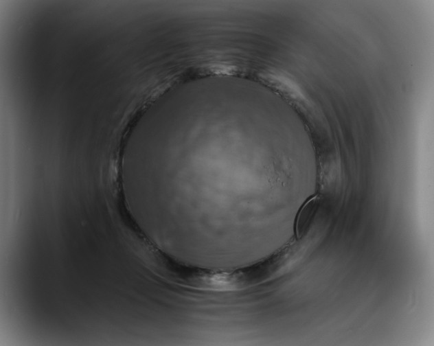 X0000089690365200707121340