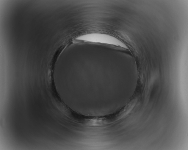 X0000089690366200707121340