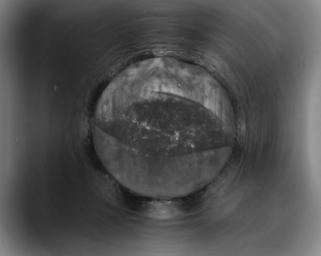 X0000089690367200707121340