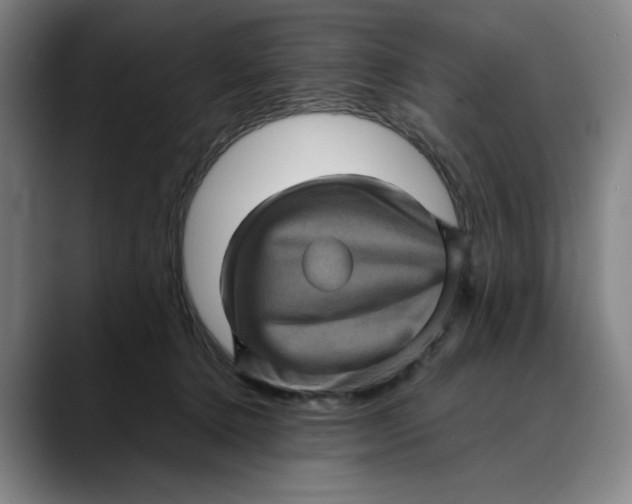 X0000089690368200707121340