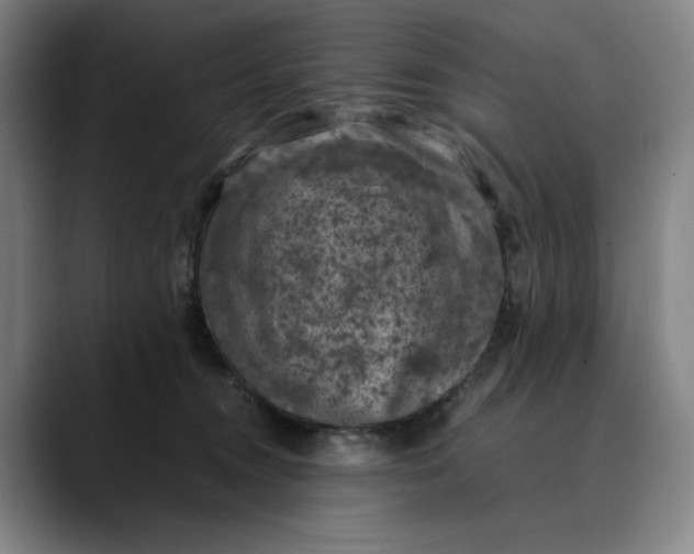 X0000089690372200707121340