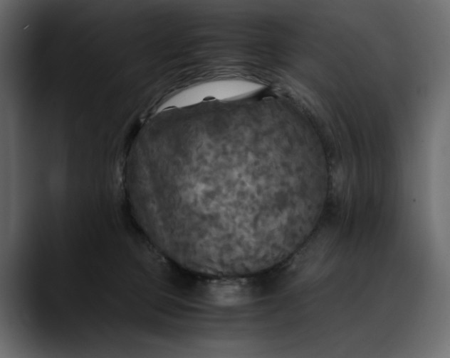 X0000089690373200707121340