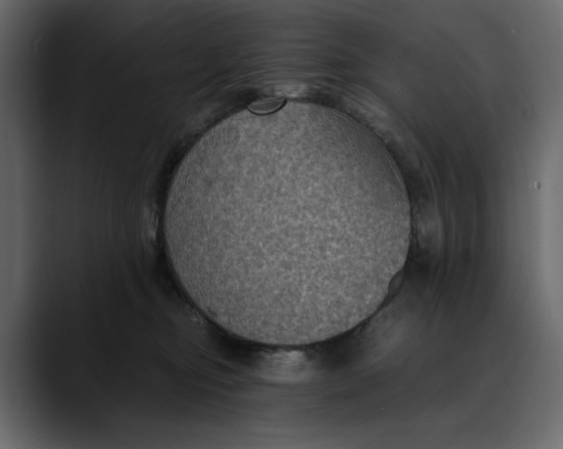 X0000089690374200707121340