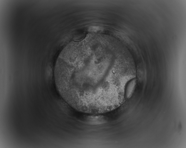 X0000089690375200707121340