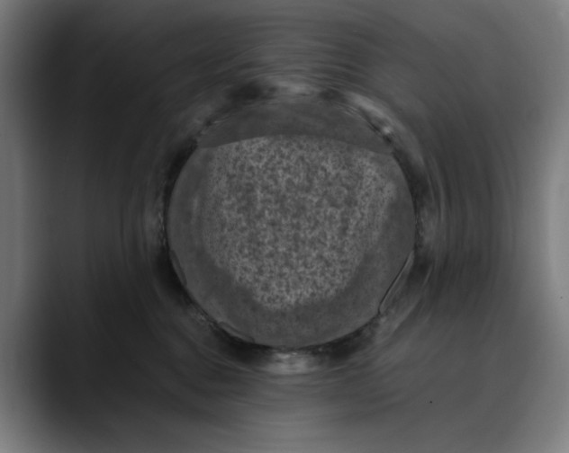 X0000089690376200707121340