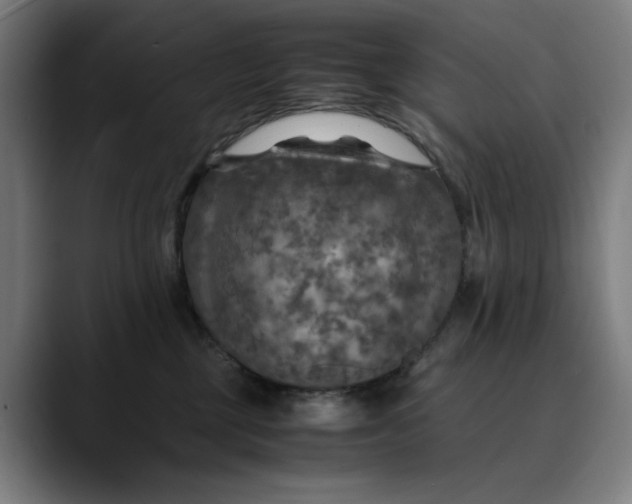 X0000089690377200707121340