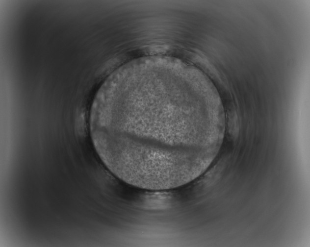 X0000089690378200707121340