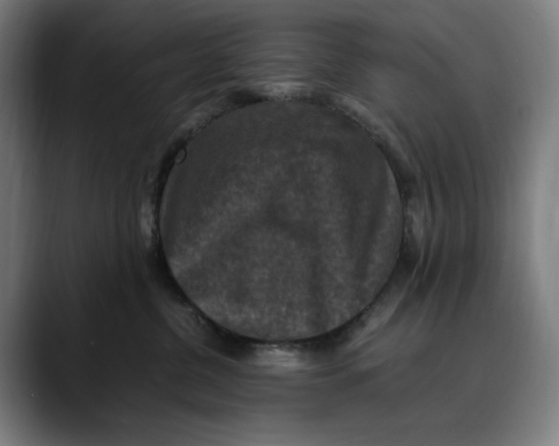 X0000089690380200707121340