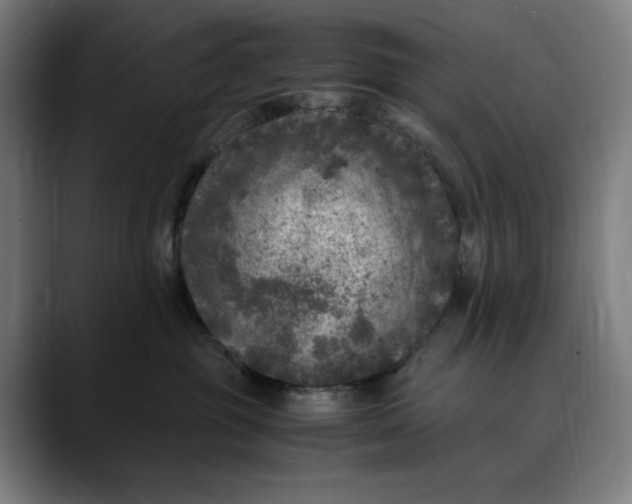 X0000089690381200707121340