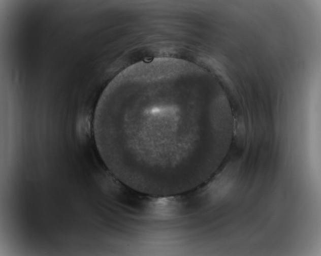 X0000089690382200707121340