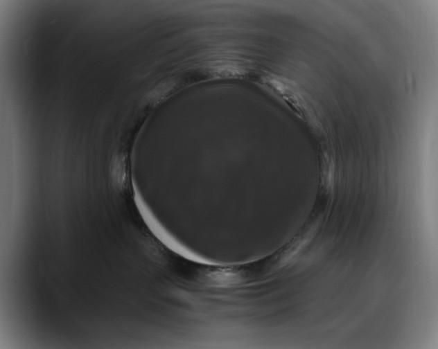 X0000089690383200707121340