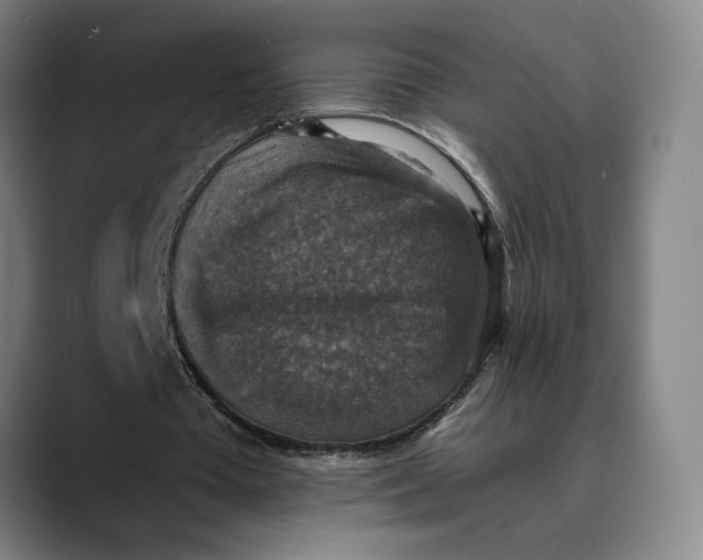 X0000089690385200707121340