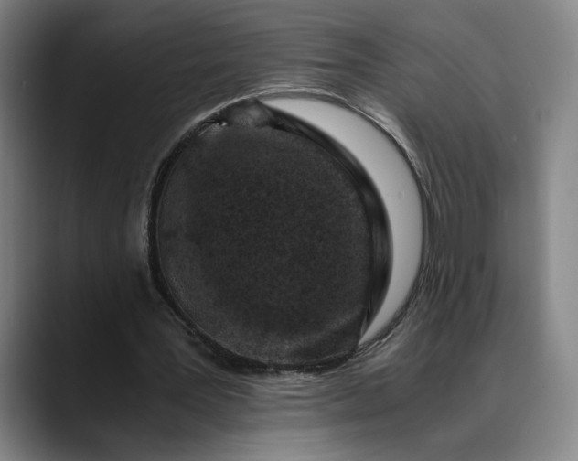 X0000089690387200707121340