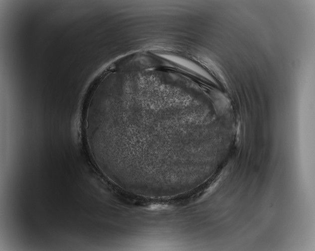 X0000089690388200707121340