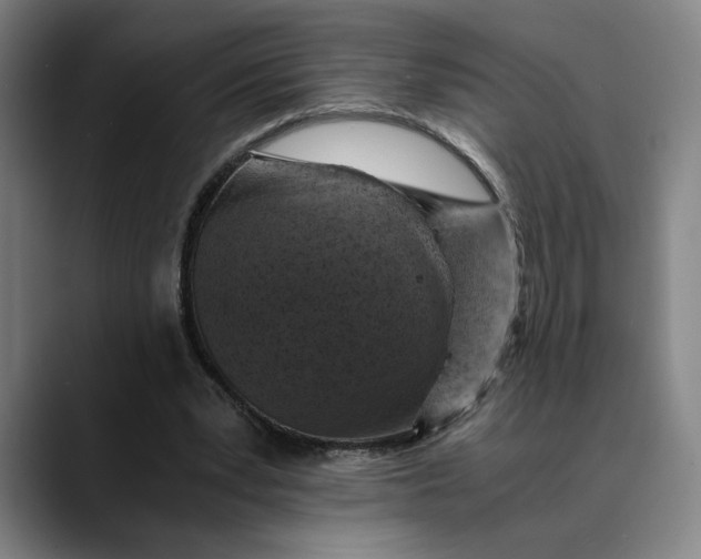 X0000089690391200707121340