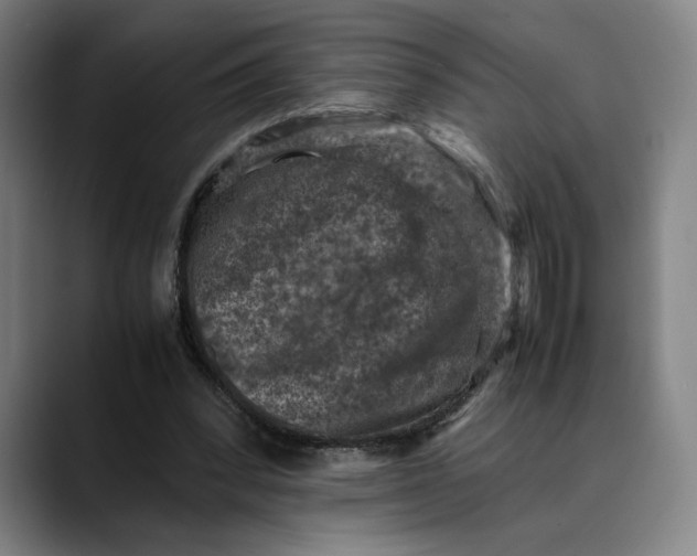 X0000089690392200707121340