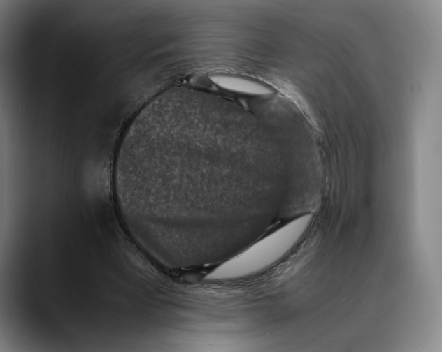 X0000089690393200707121340