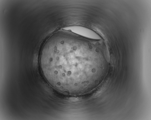 X0000089690394200707121340