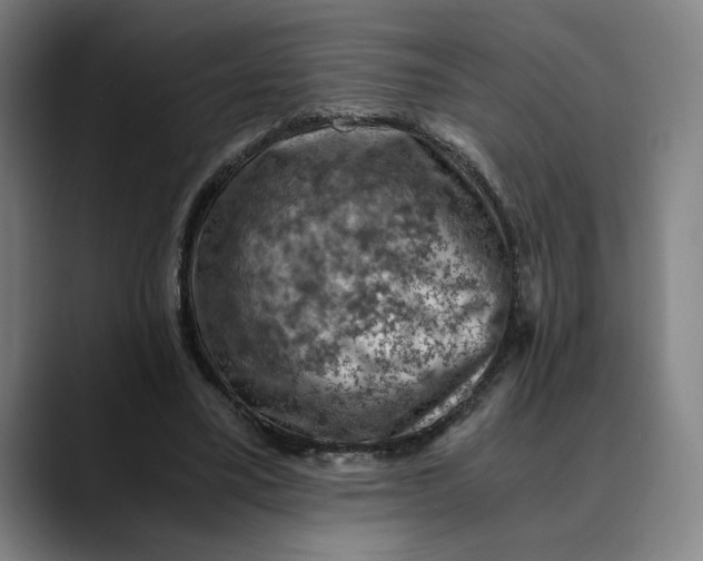 X0000089690395200707121340