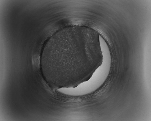 X0000089690397200707121340