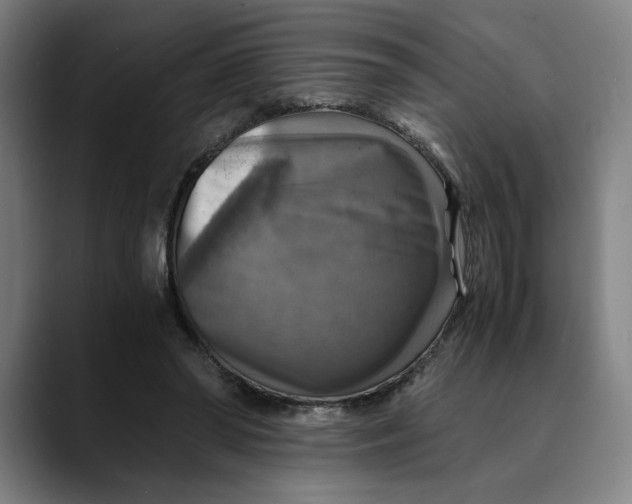 X0000089690398200707121340