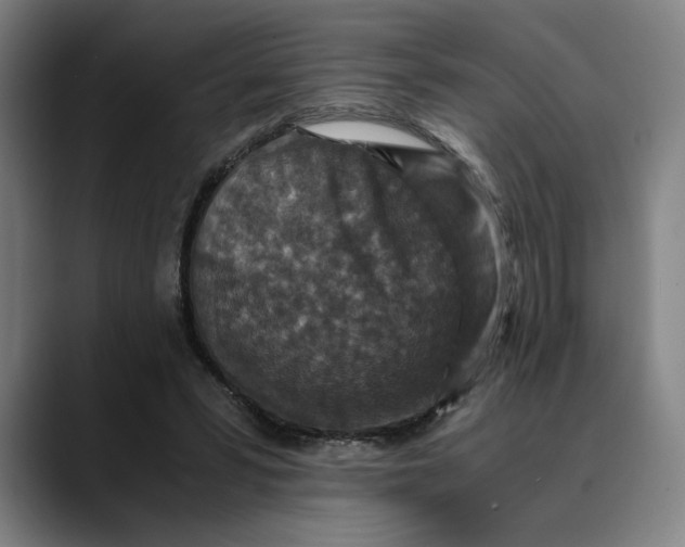 X0000089690399200707121340