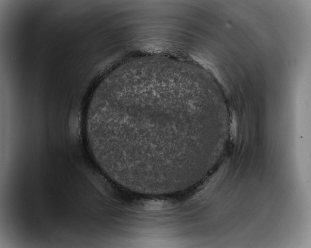 X0000089690400200707121340