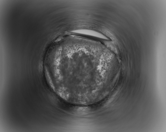 X0000089690401200707121340