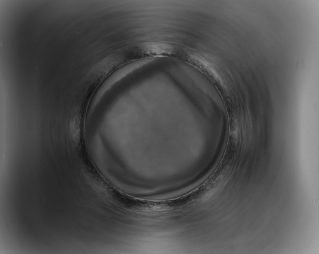 X0000089690402200707121340