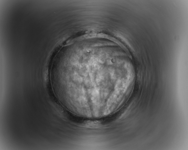 X0000089690403200707121340