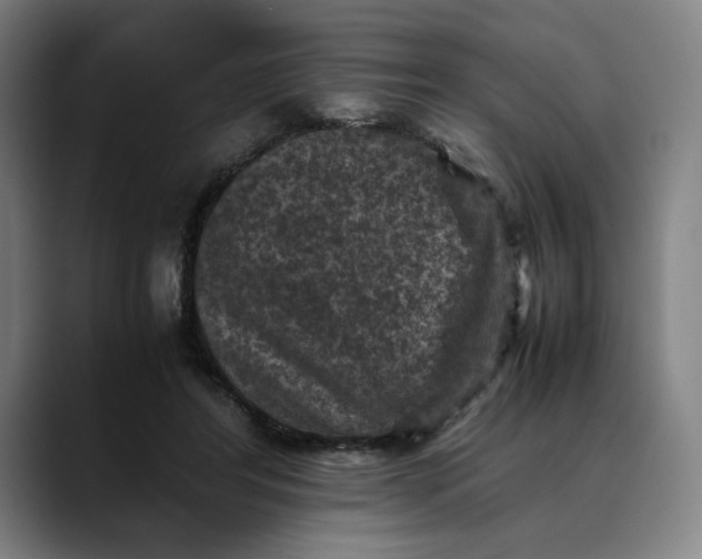 X0000089690404200707121340