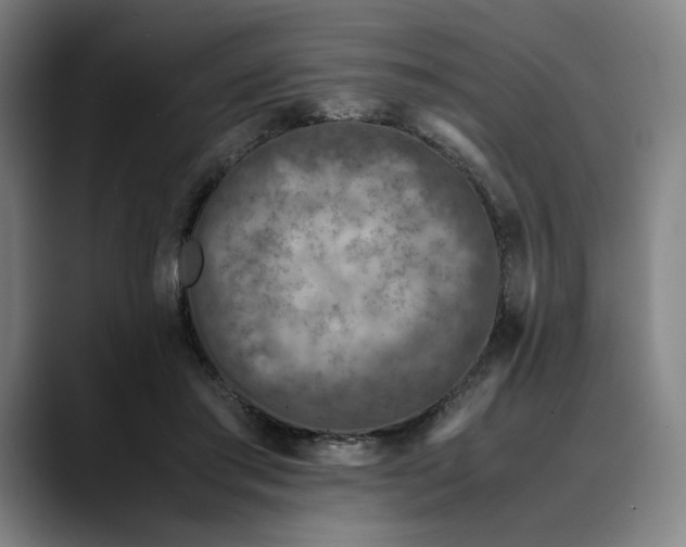 X0000089690405200707121340