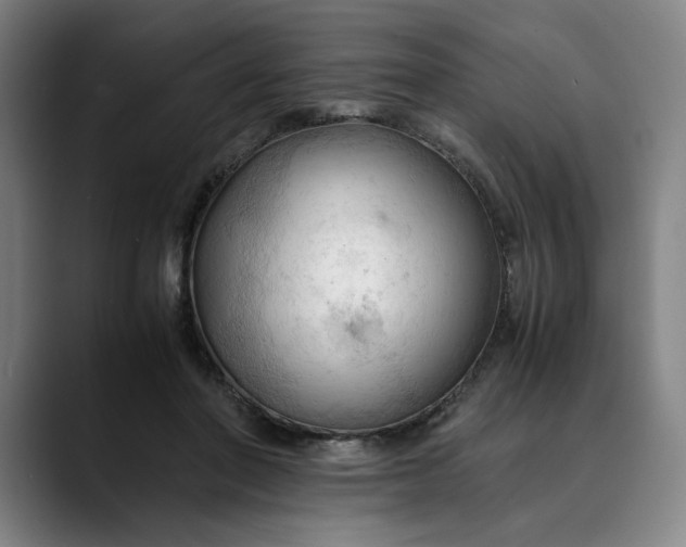 X0000089690406200707121340