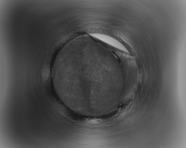 X0000089690407200707121340