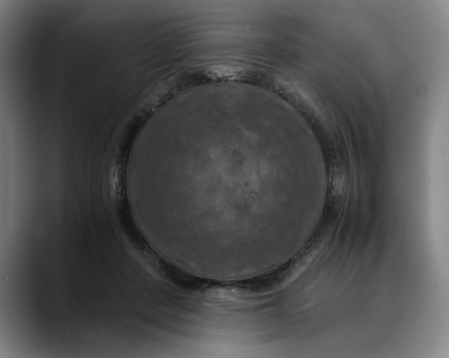 X0000089690408200707121340