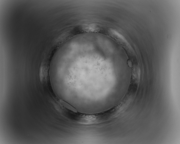 X0000089690409200707121340