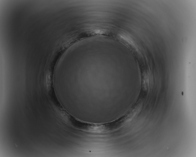 X0000089690410200707121340