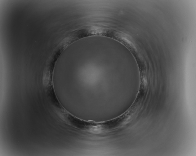 X0000089690411200707121340