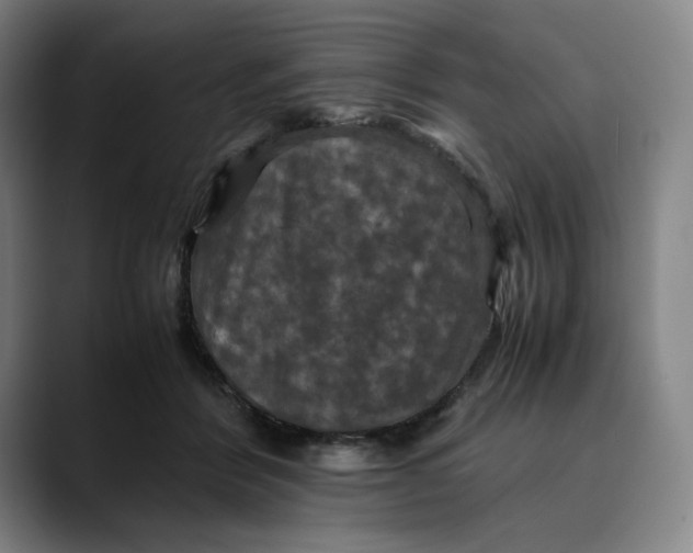 X0000089690412200707121339