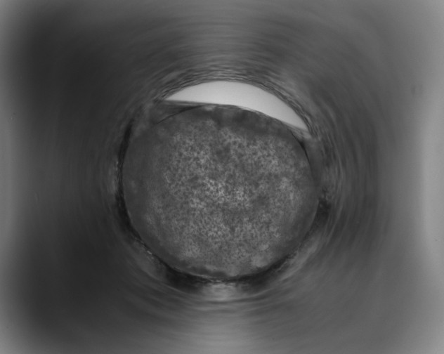 X0000089690413200707121339